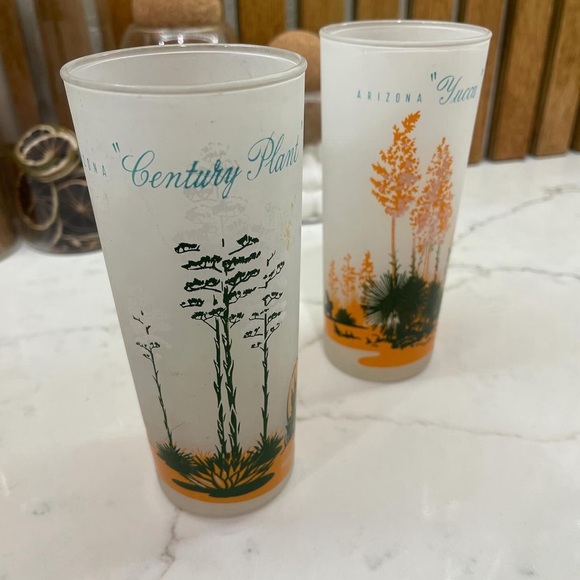 1950s “Yucca cactus” & “Century plant” 14oz Blakely frosted glasses. - Picture 3 of 4